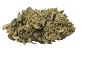 mediproCan Lunaris 19/1